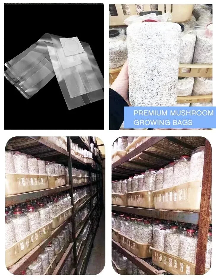 Mushroom Bags Grow Grain Substrate Mycelium Sealable Bag – 30 Count – 8″x5″x20″