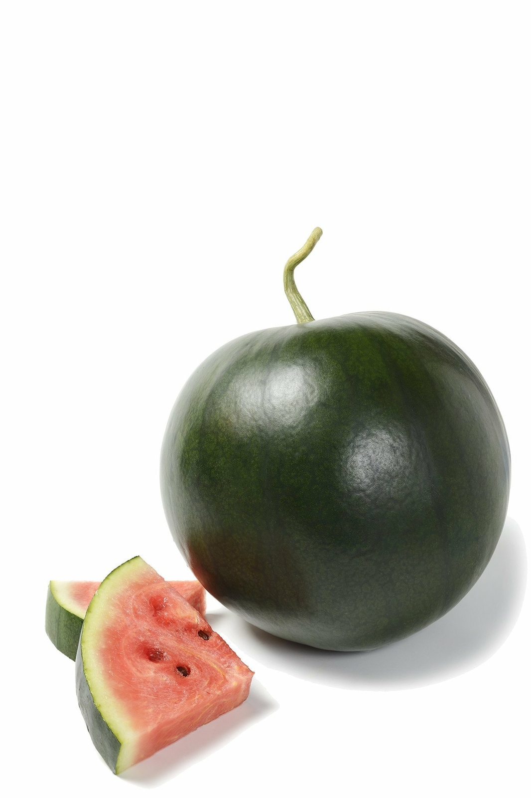 Organic Blacktail Watermelon – Citrullus lanatus