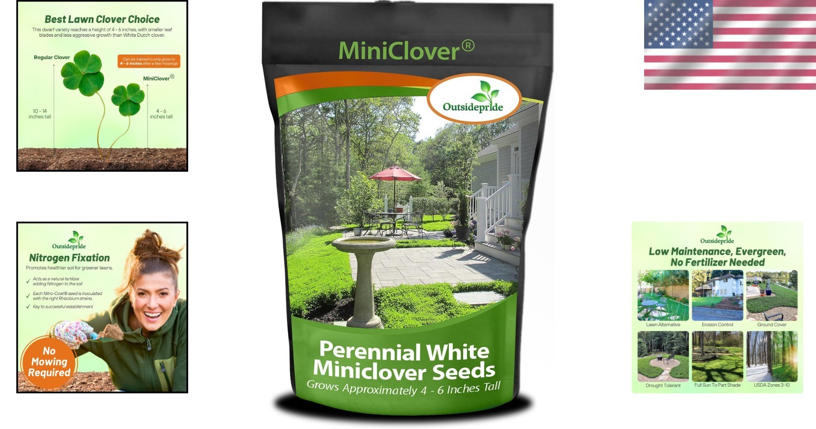 Perennial Micro Clover Seeds – Drought-Tolerant Ground Cover=*