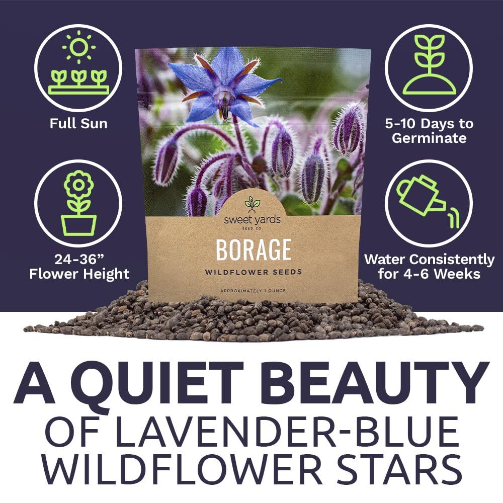 Borage Seeds – Extra Large Packet – Over 1200 Open Pollinated Non-GMO Wildflo…