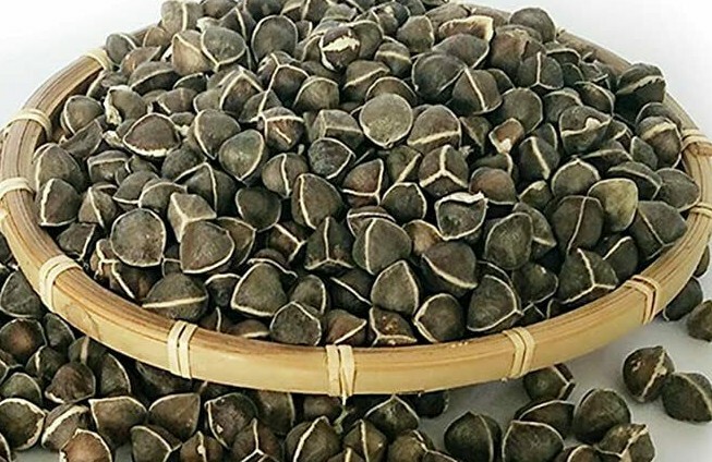 Viable Moringa Seeds (100+ seeds) drumstick tree (Moringa Oleifera)