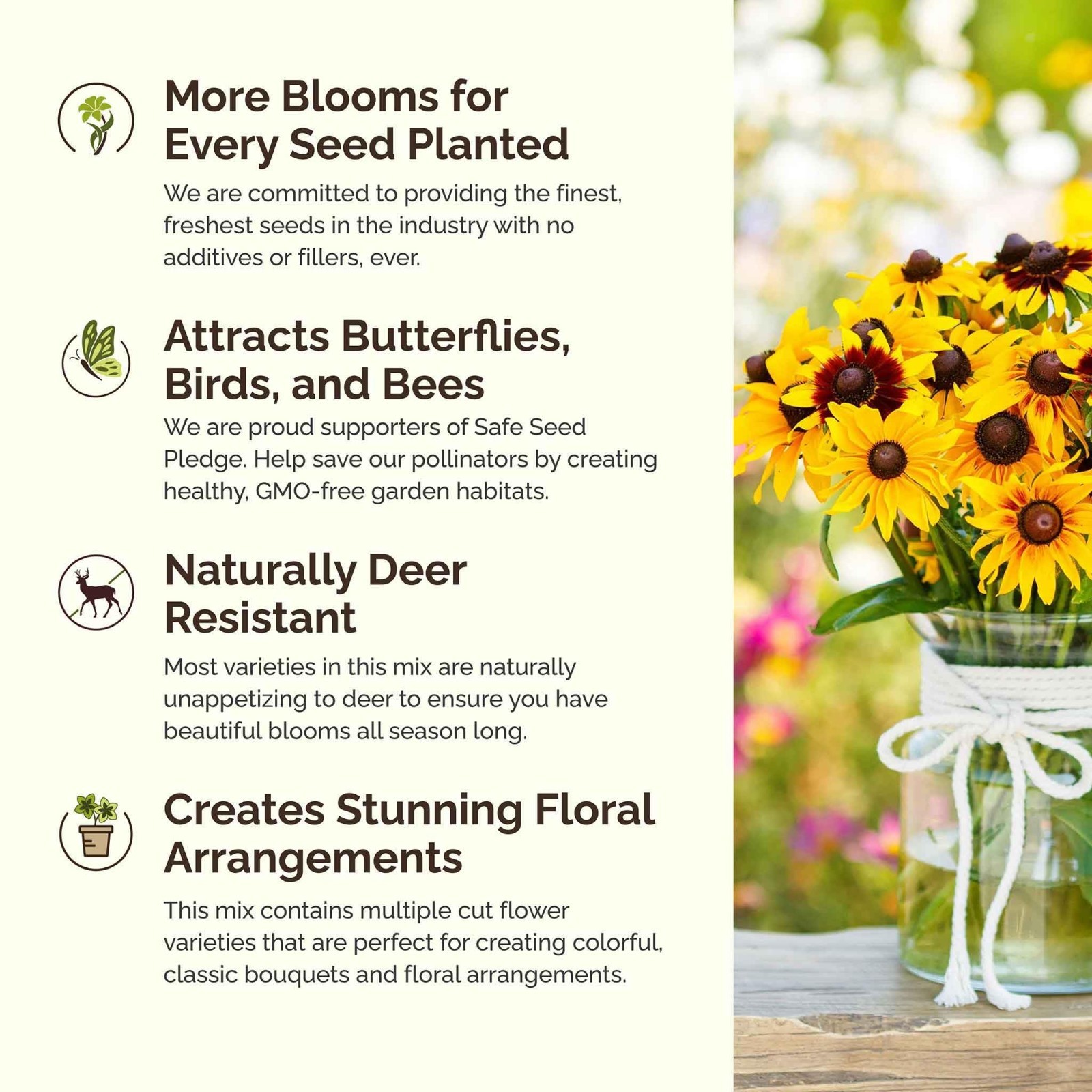 Midwest Wildflower Seed Mix – 1 lb, 480,000+ Seeds, Attracts Pollinators, Plant