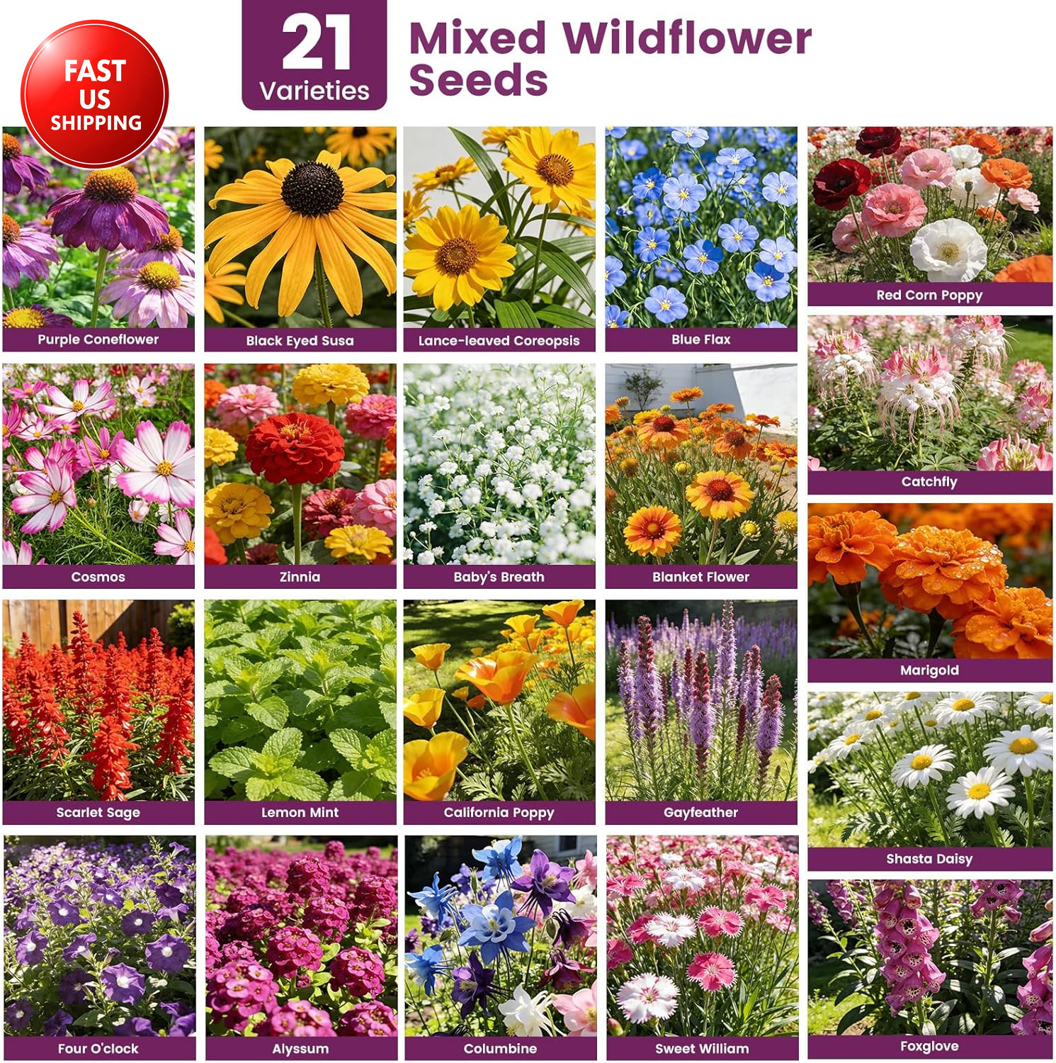 Wildflower Seeds Bulk 10000+, 1.06Oz Butterfly Hummingbird Mix, 21 Variety Peren