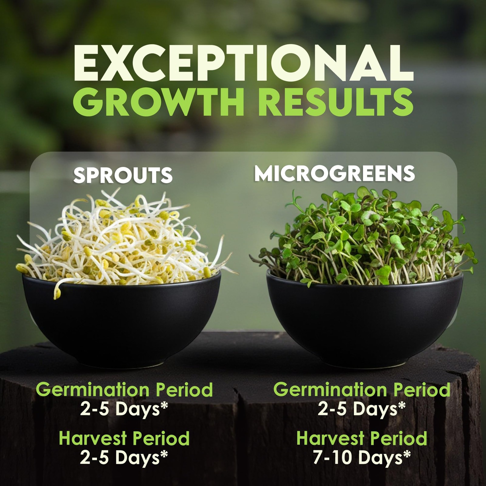 Nature Jims Sprouts Organic Salad Mix – Non-GMO Microgreen Seeds for Green