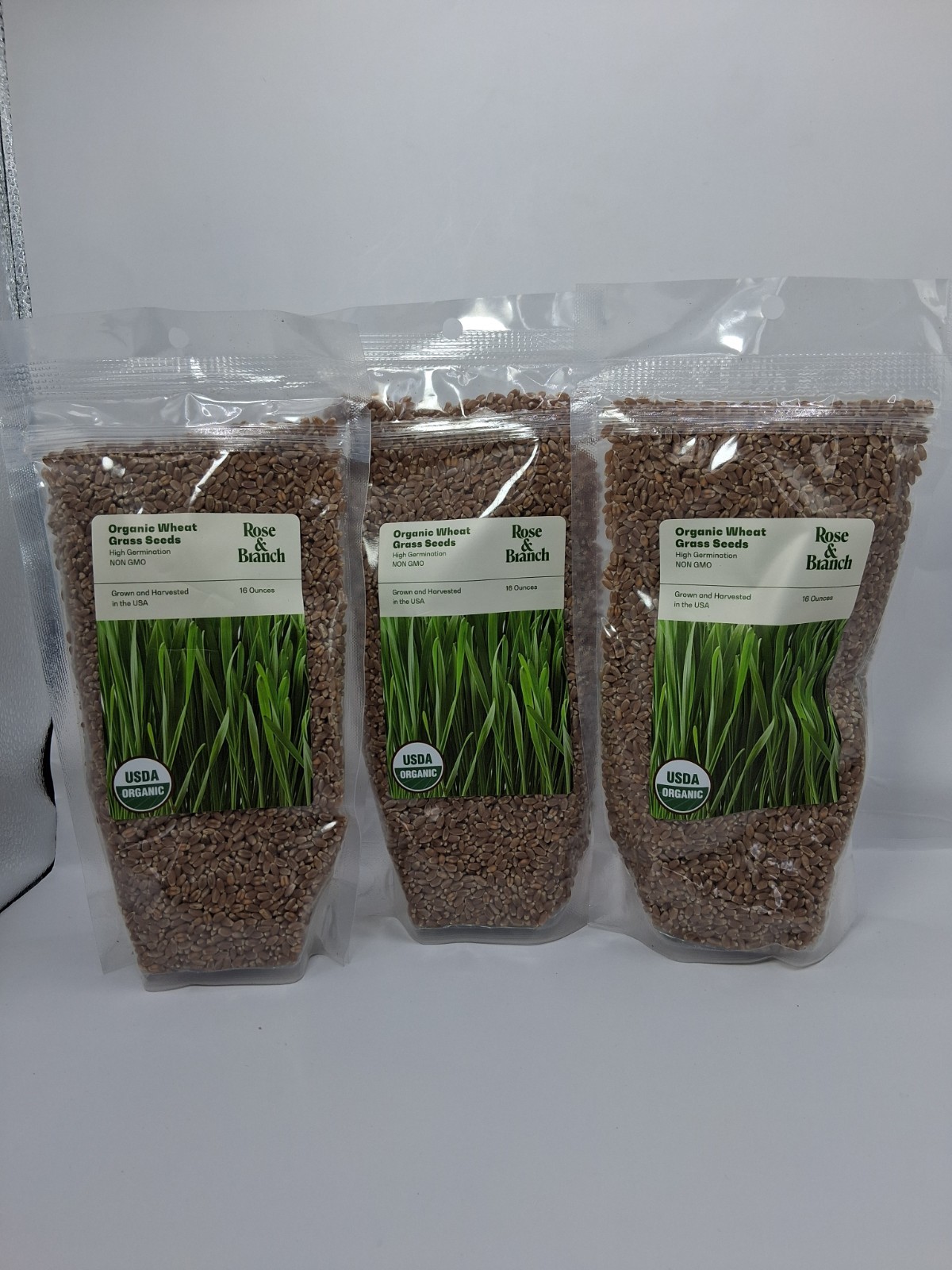 Rose & Branch Organic Wheat Grass Seeds – Cat Grass Seeds – 16Ounces – 100% O…