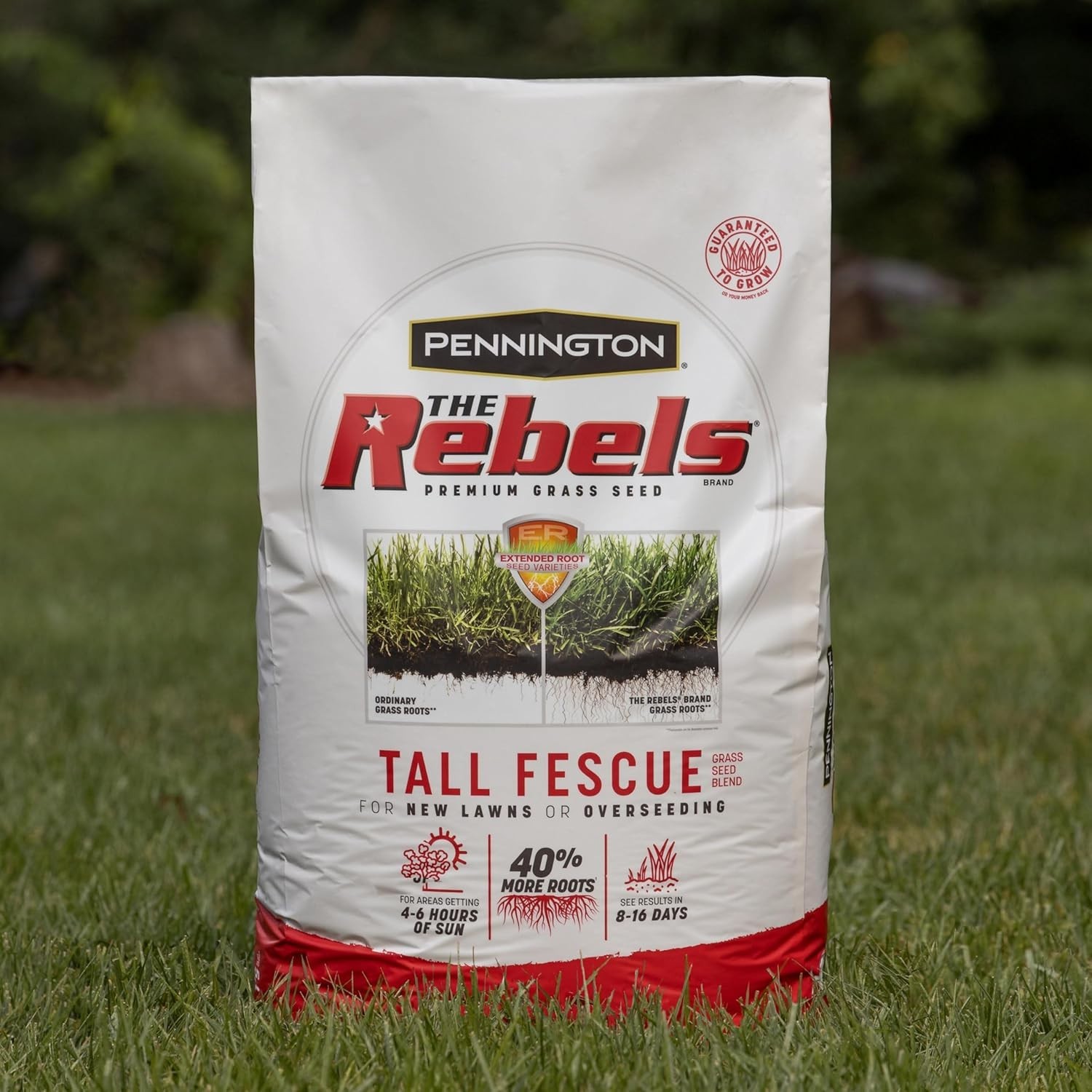 The Rebels 7 lb Tall Fescue Grass Seeds – Fast Germination for Optimal Lawns