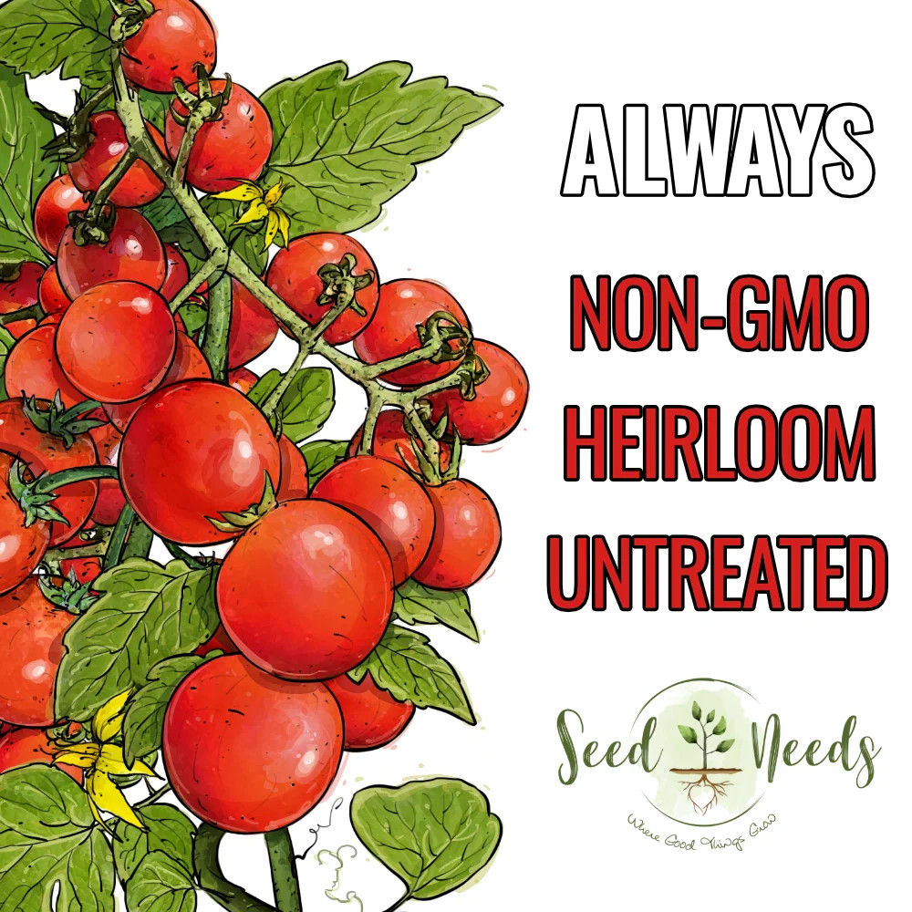 Tiny Tim Tomato Seeds For Planting (Lycopersicon esculentum)