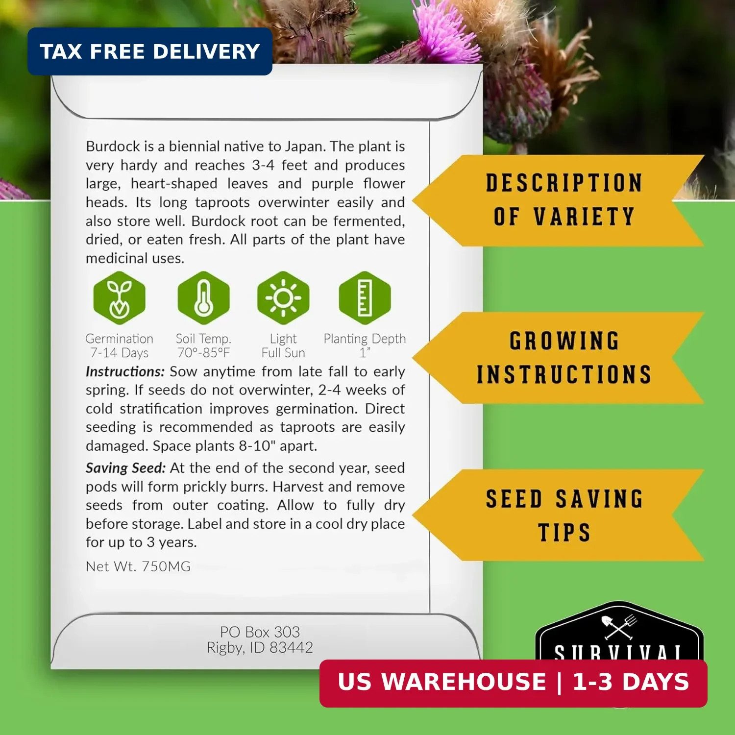 Advanced Medicinal Herb Seeds Collection – Variety Pack for Planting with Planta