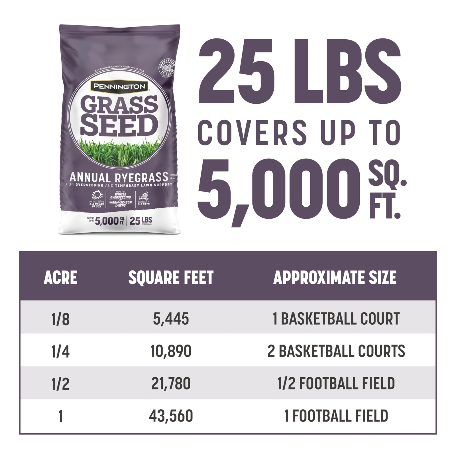 Pennington Annual Ryegrass 25 lb Bag for Overseeding Warm Season Grasses
