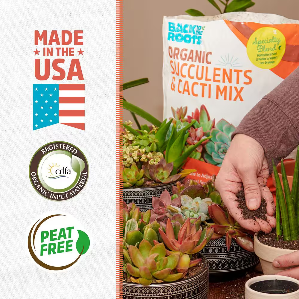 6 Qt. Organic Succulent & Cacti Mix Soil (2-Pack)