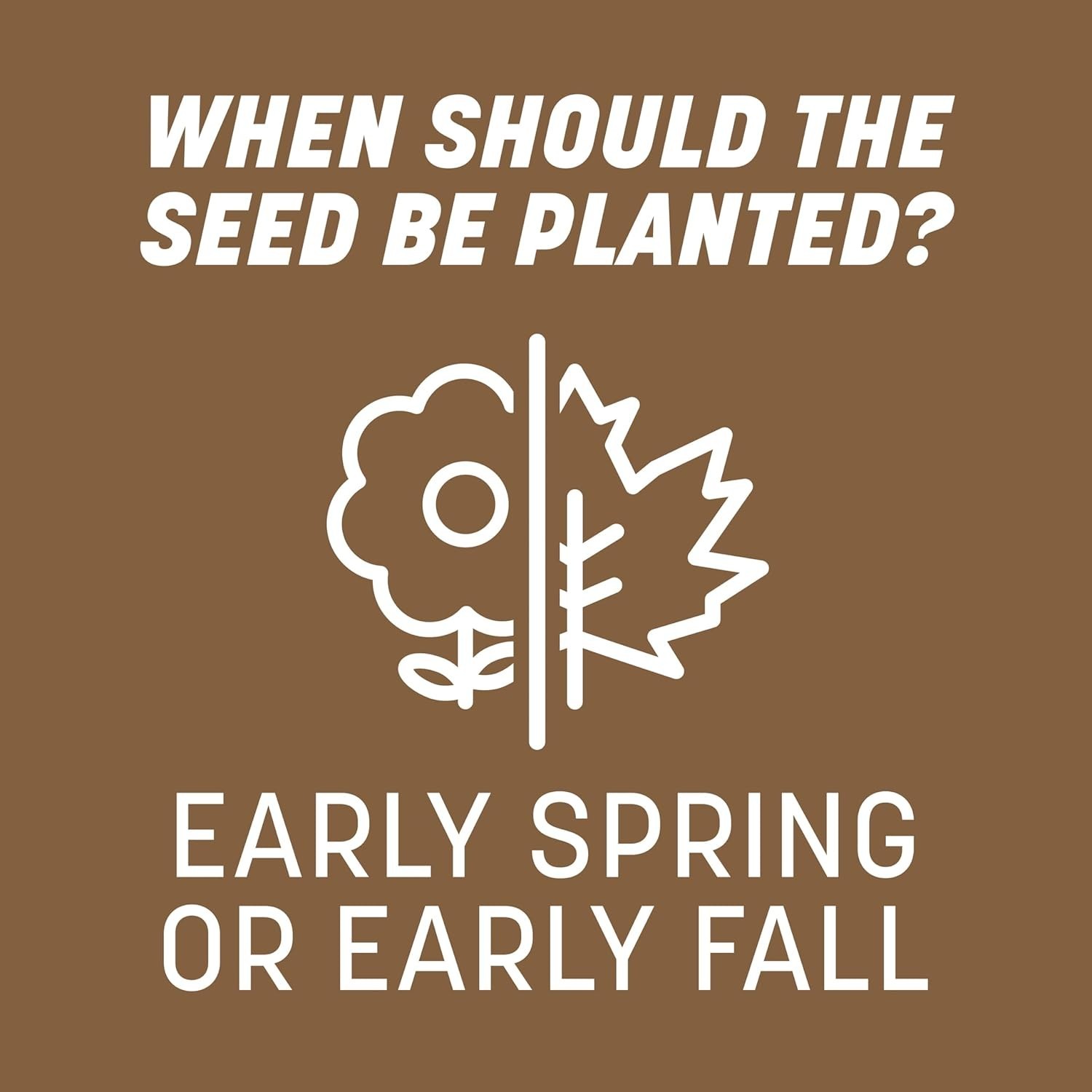 Optimal 1 lb Bare Spot Repair Grass Seed Mixture for Coverage Up to 100 sq. ft.