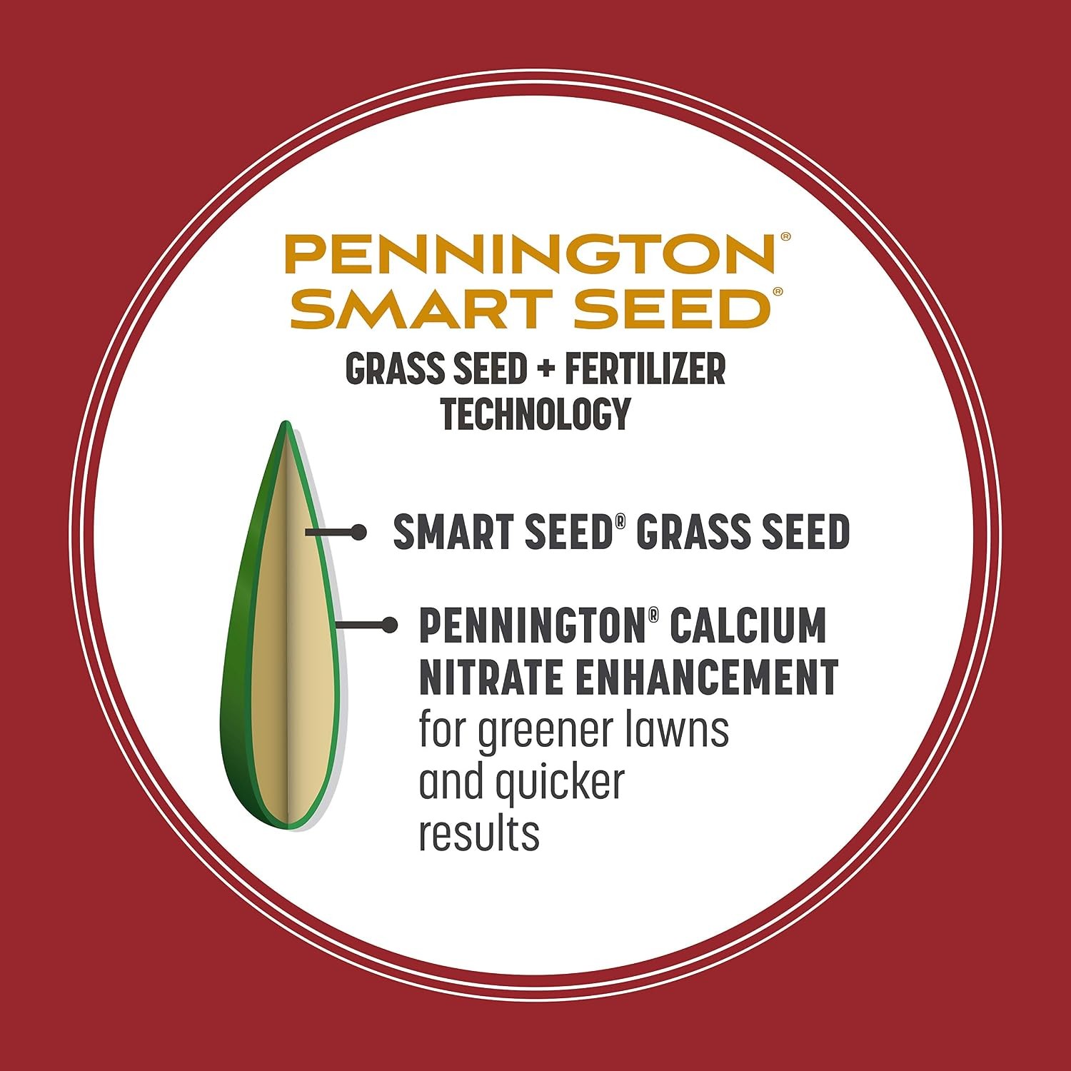 Pennington Smart Seed Perennial Rye 3 Lb Perennial Ryegrass Grass Seed Lawn
