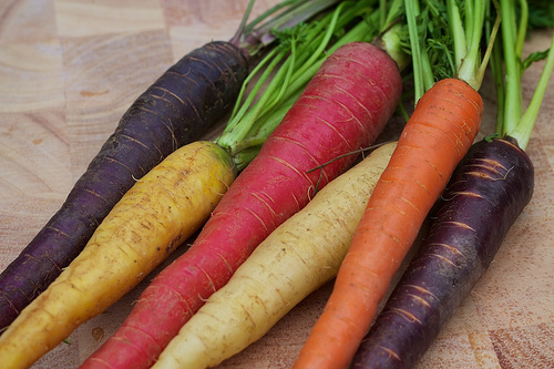 BULK RAINBOW BLEND CARROT SEED* 1000 SEEDS BULK MEDICINAL*HEALTHFUL*ANTIOXIDANT*