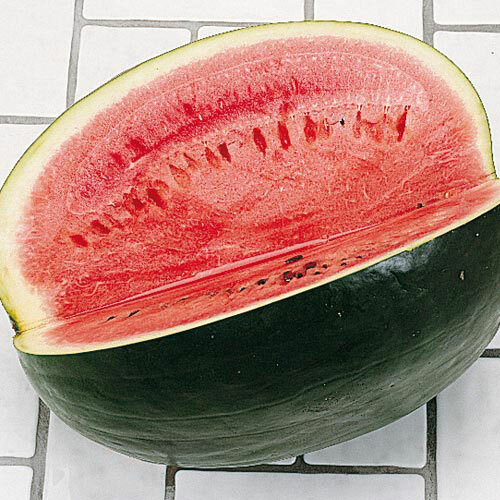Black Diamond Watermelon Seeds | Heirloom – Non-GMO | Free Shipping | 1039