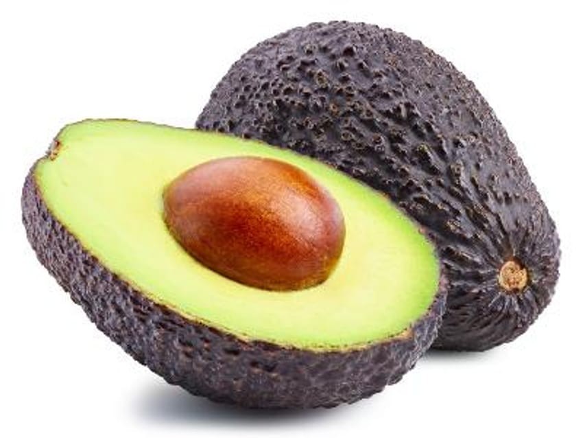 Avocado ‘Gem’ grafted plant, Primo Size 18”-36” tall, “A” type