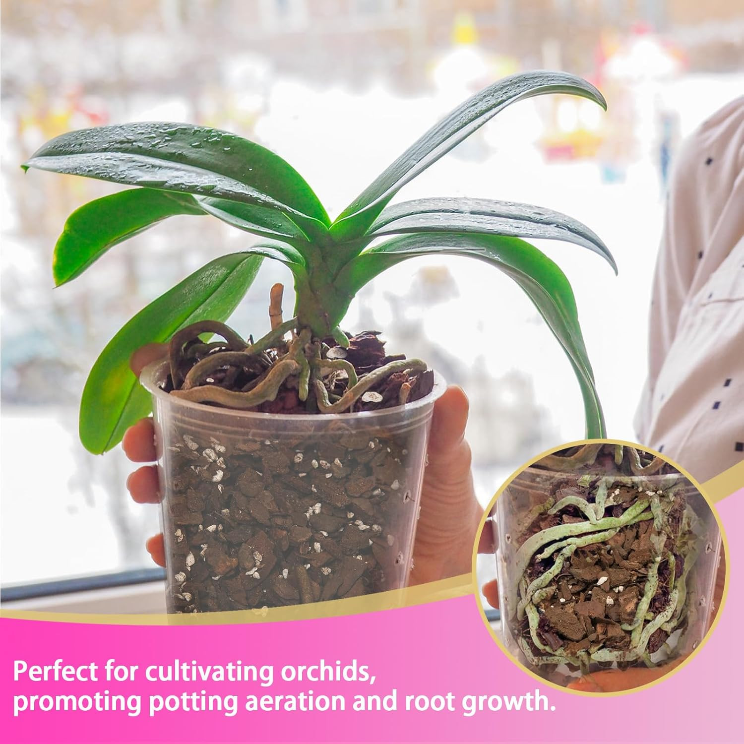 Orchid Potting Mix 1Qt，Orchid Soil Composed of Orchid Bark and Perlite，Premium O