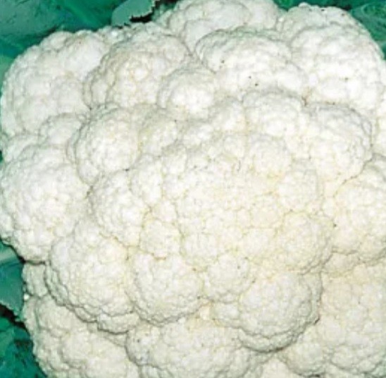 snowball cauliflower white vegetable seeds minimum 450 seeds organic non gmo
