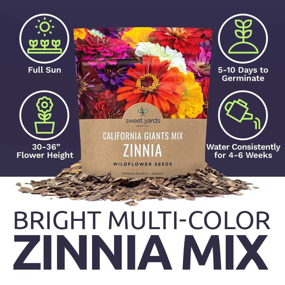 Zinnia Seeds – California Giants Mix – Large 1 1 Ounce Pouch, Multiple Colors
