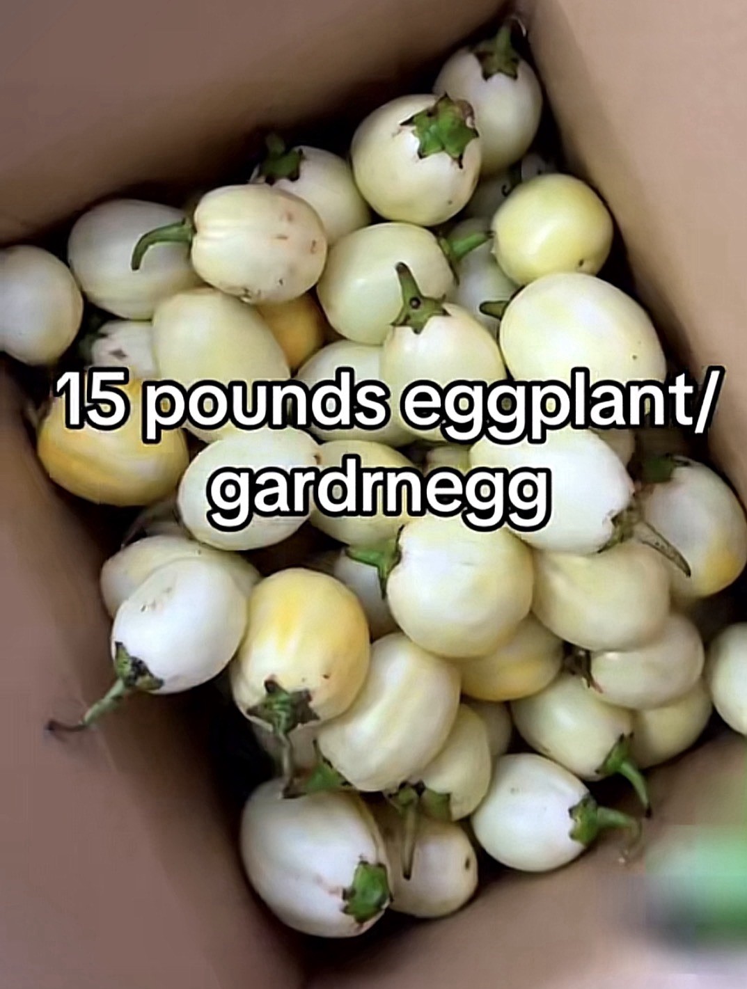 Egg Plant / Garden eggs 15 Pounds