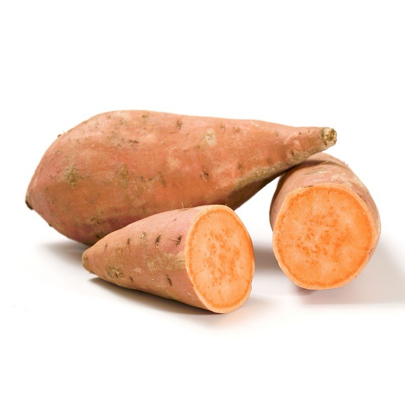 20 Slips Rooted Sweet Potato Slips Cutting Vines Ready To Plant