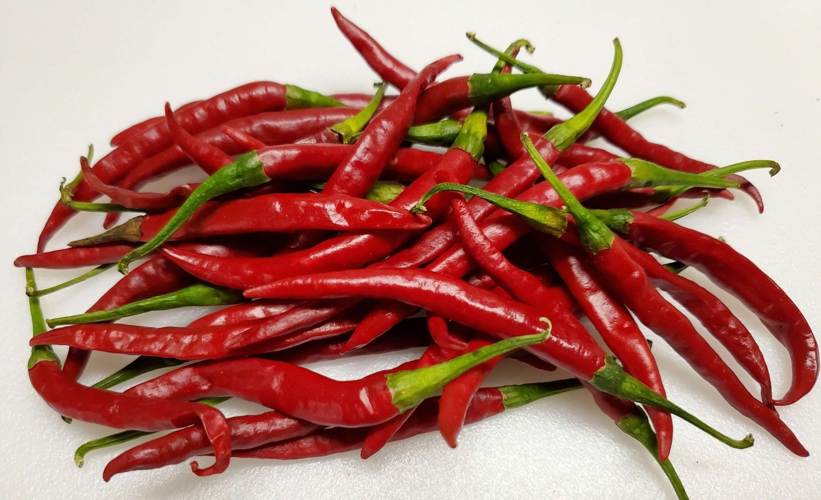 RARE✿ Heirloom Chile de Arbol Hot Pepper 15+ Seeds