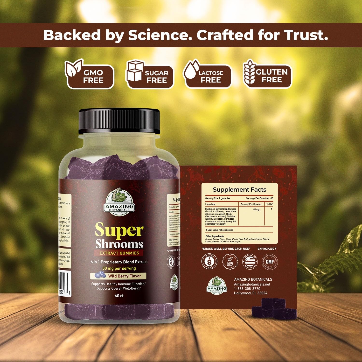 Super Shrooms 6 in 1 Organic Mushroom Wellness Gummies – 60 Count (Pack of 1)