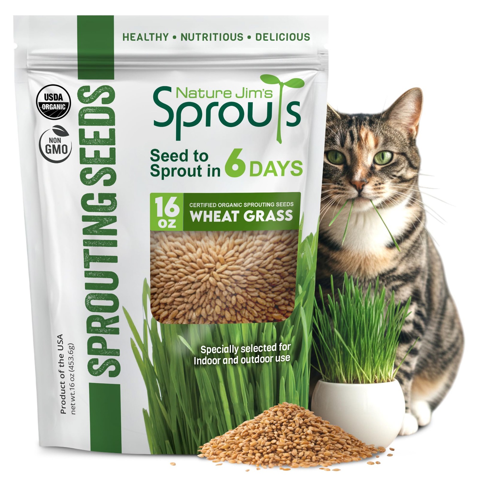 Wheat Grass Seeds – Non-GMO Organic Seeds for Planting, Cat Grass for Growing…