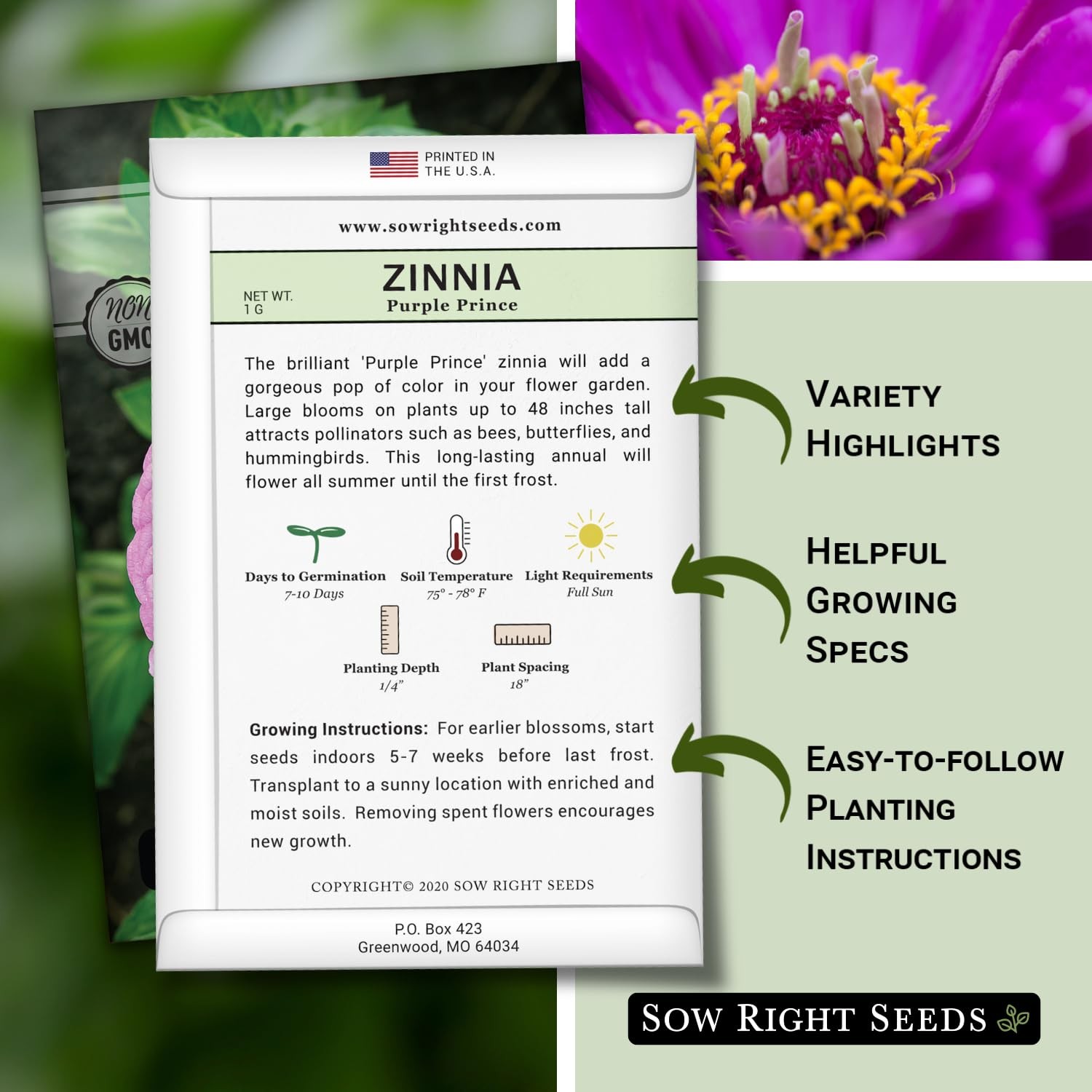 Sow Right Seeds – Purple Prince Zinnia Flower for Planting – pink