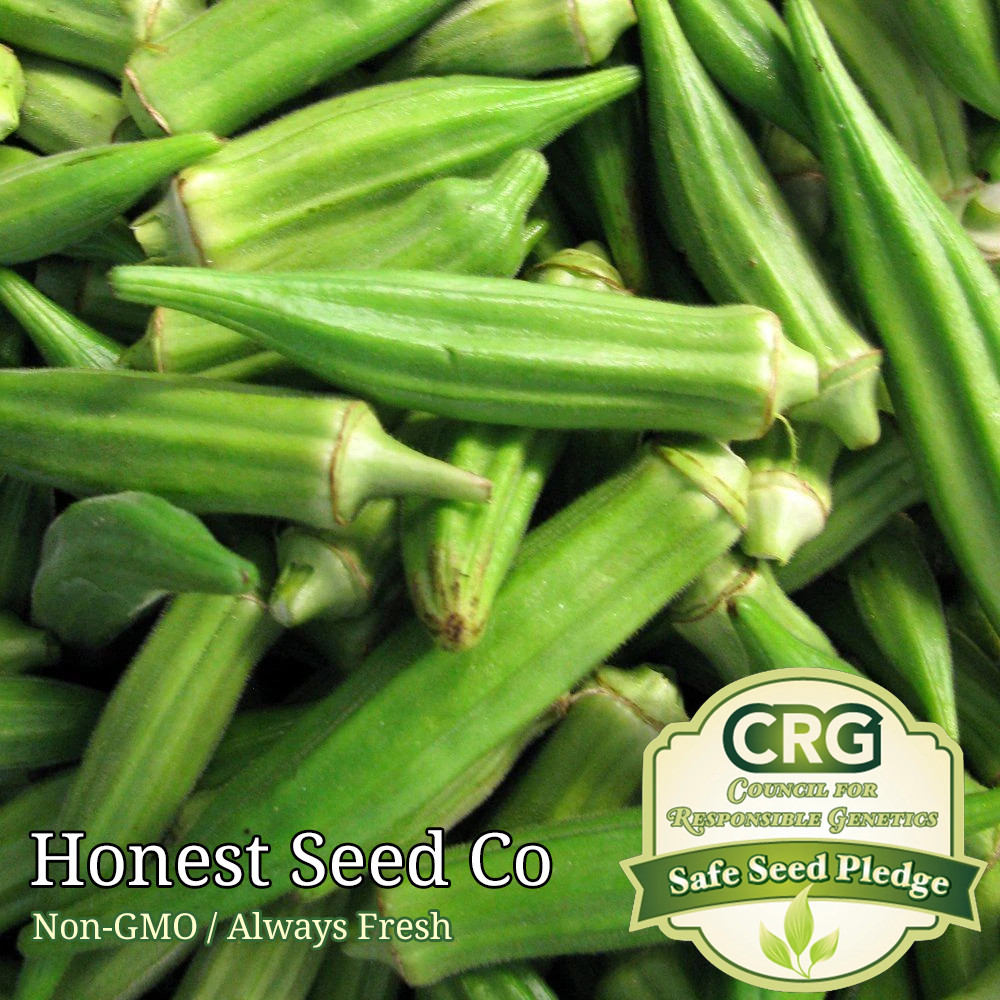 100+ Clemson Spineless Okra Seeds Non-GMO Heirloom | USA Grown