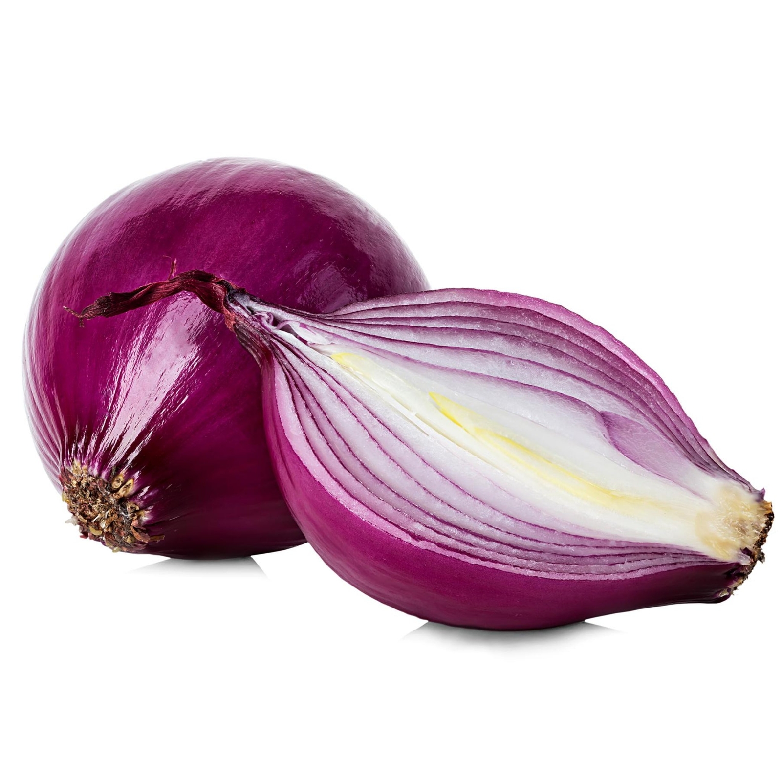 Burgundy Red Onions – Seeds – Organic – Non Gmo – Heirloom Seeds