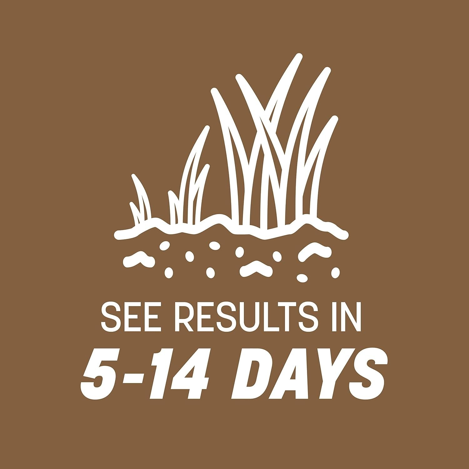 Optimal 1 lb Bare Spot Repair Grass Seed Mixture for Coverage Up to 100 sq. ft.