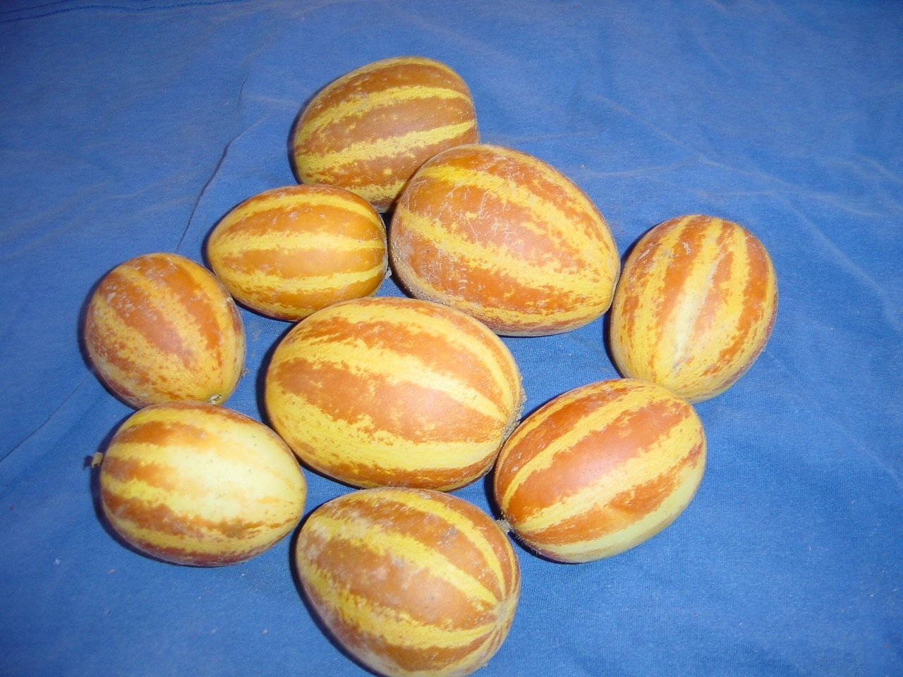 25 Heirloom Plum Granny Seeds