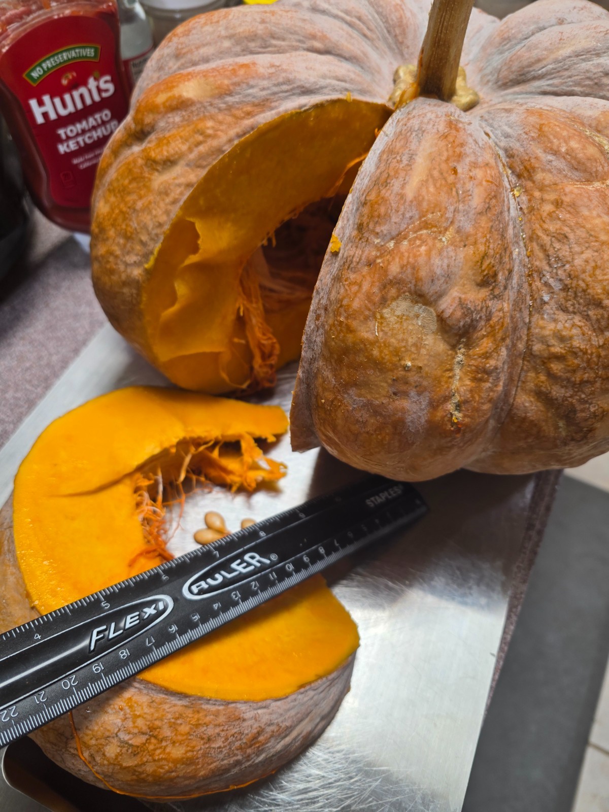 Pumpkin – Bangladeshi/Indian Pumpkin- 20 Indian Pumpkin Seeds- Grown in NJ