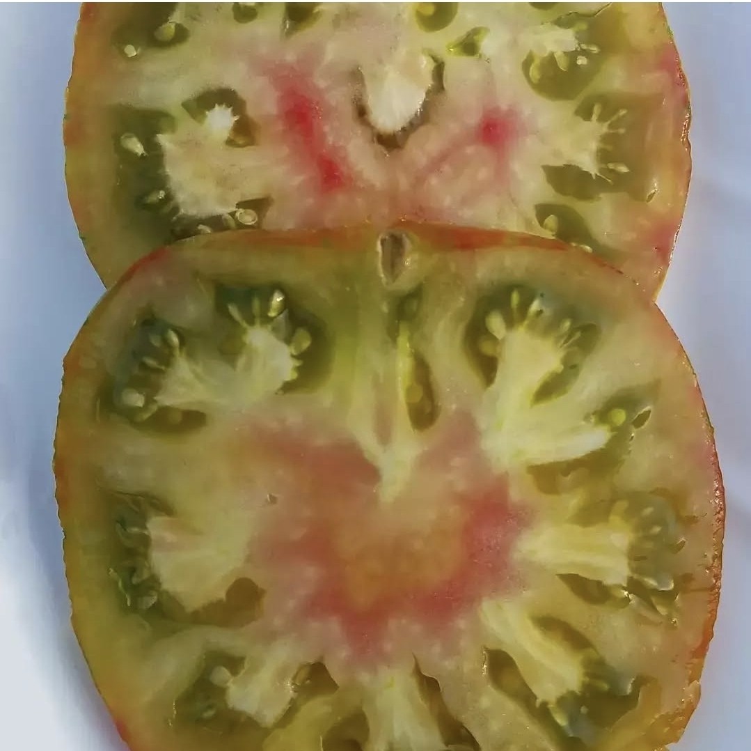 Summer Of Love Tomato Seeds RARE 10 Organic Seeds *FREE SHIPPING*