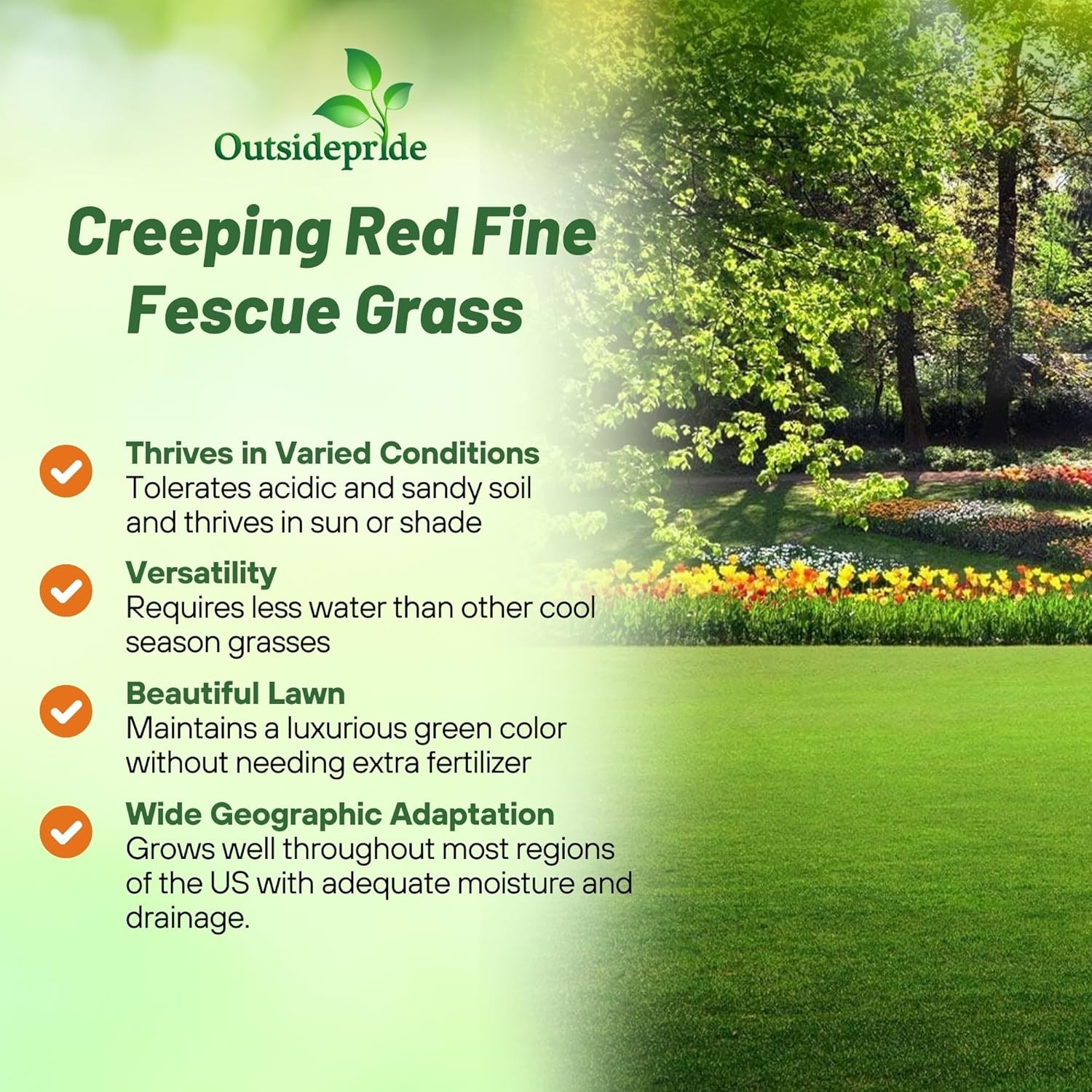 10 LBS – OptiGrowth Coated Creeping Red Fescue Grass Seed For Shade