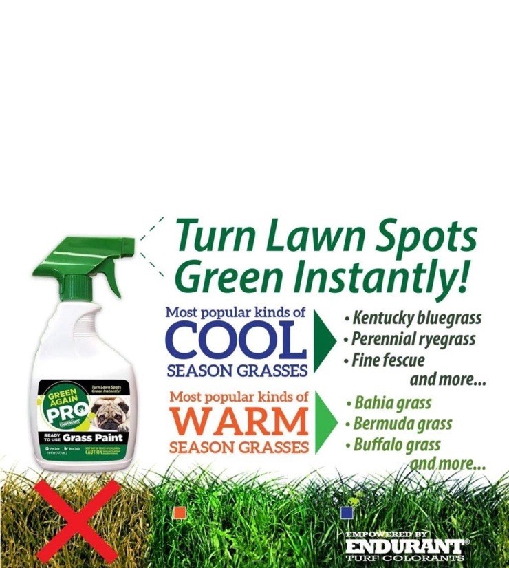 Pre-Mixed Grass and Turf Paint – All Natural Pet-Friendly Lawn Colorant Turns…