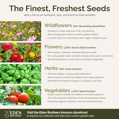 Northeast Wildflower Seed Mix – 1 lb, 480,000+ Seeds, Attracts Pollinators, Zone