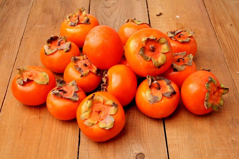 20 JAPANESE PERSIMMON TREE SEEDS (Diospyros Kaki) Asia Hardy Garden Fruit Plant