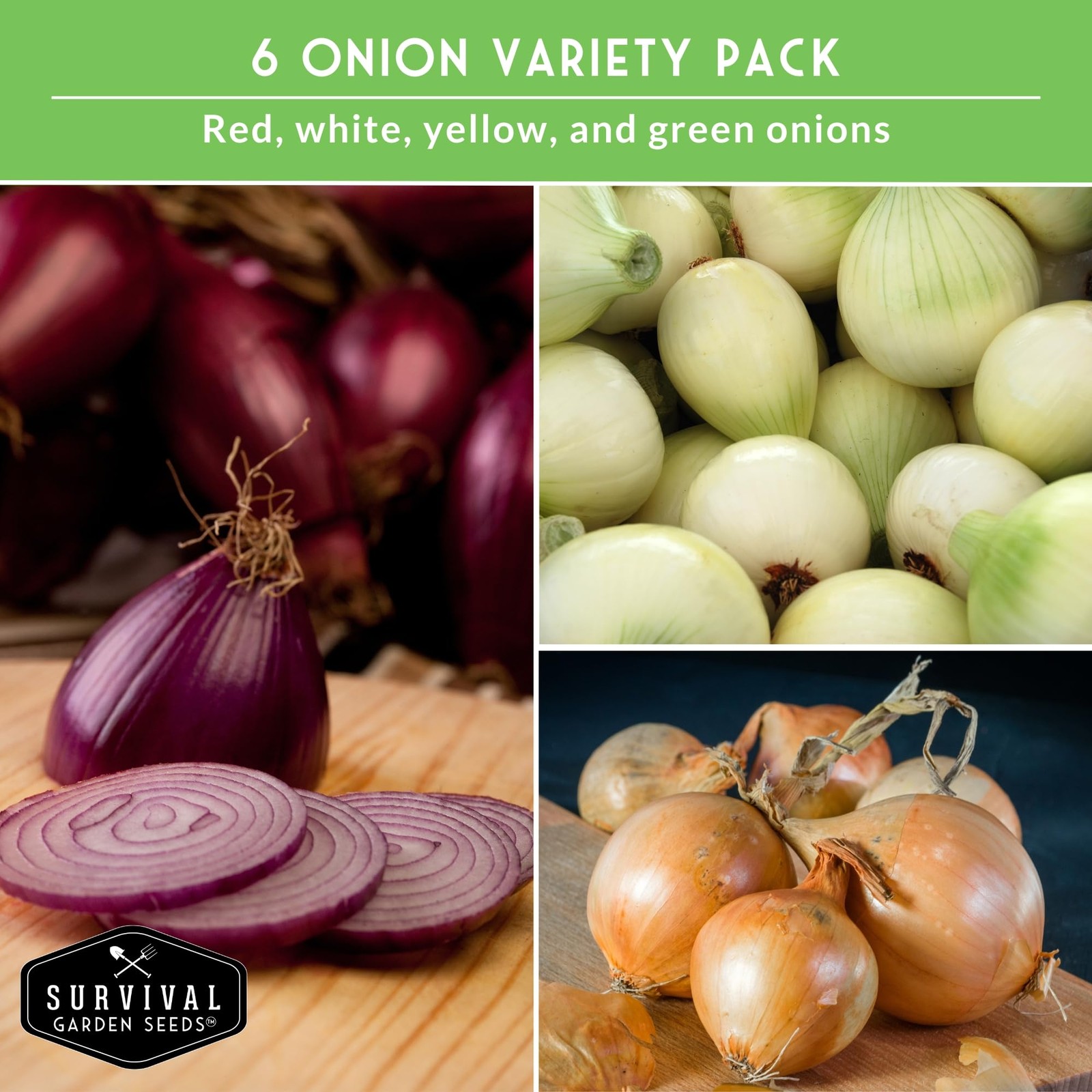 Onion Seeds for Planting – 6 Variety Pack Collection | Ruby Red, Multicolor