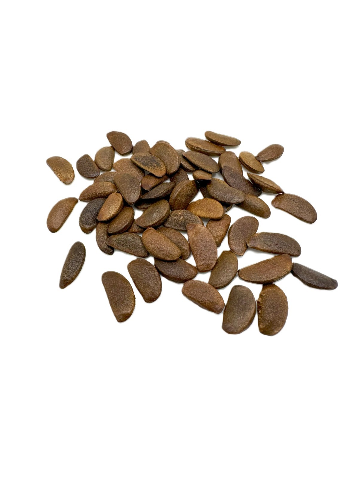 100 Pcs Japanese Persimmon Tree Seeds, Fuyu Persimmon Fruit Seed for Planting