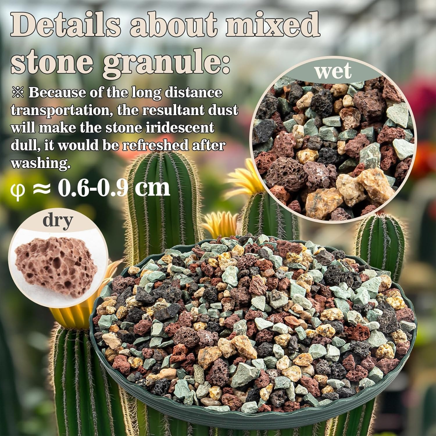 2LB Horticultural Succulent Rocks Pumice Bonsai Soil Mix Succulent Potting