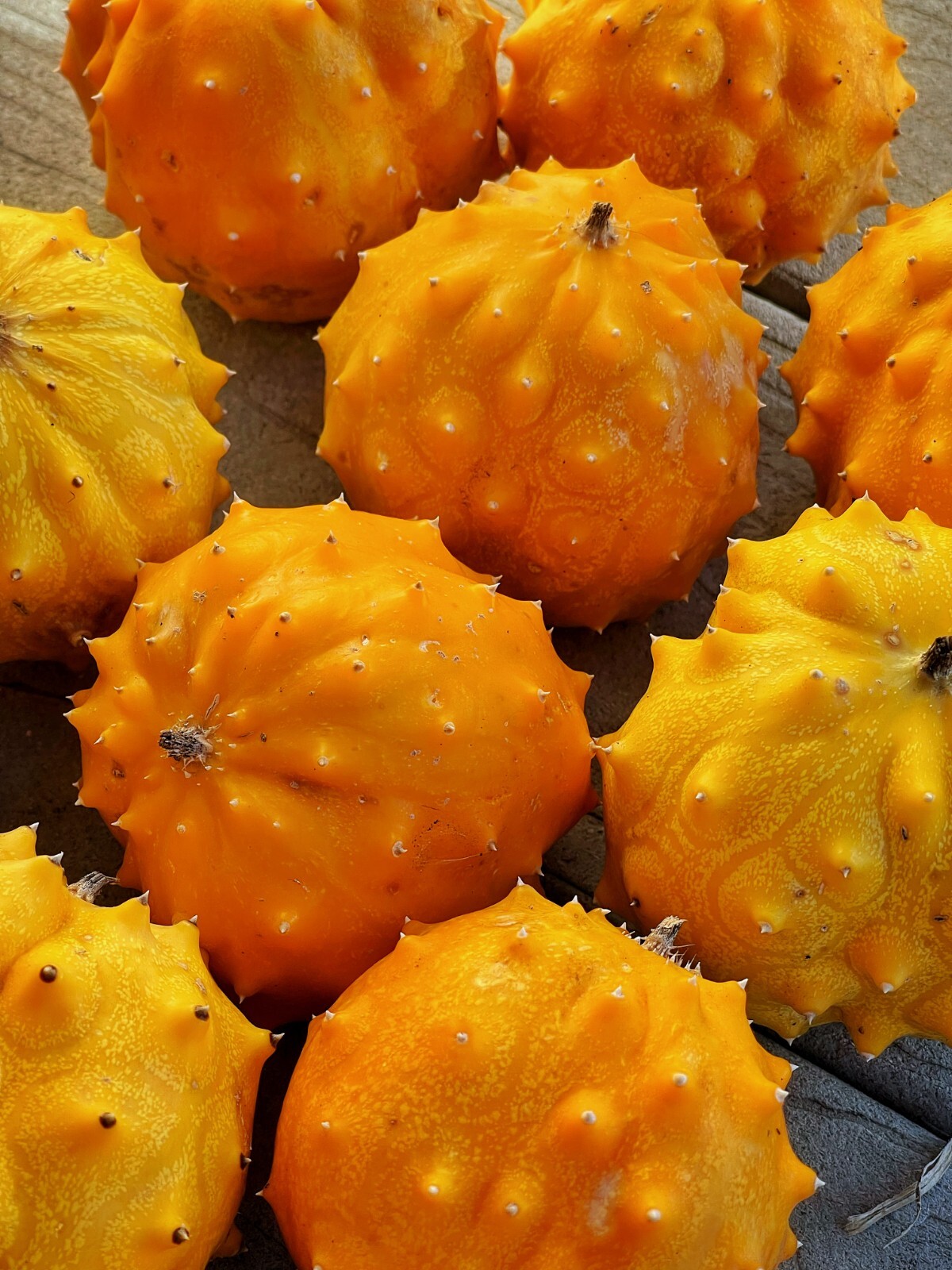 50+ Kiwano Rund Horned Melon Seeds Exotic Vine and Melon US seller Free ship