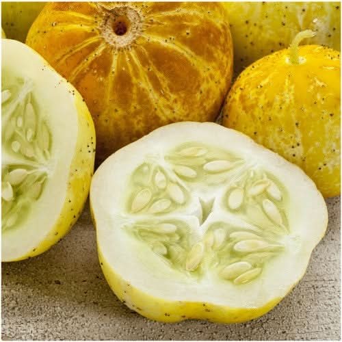Lemon Cucumber Seeds For Planting (Cucumis sativus)