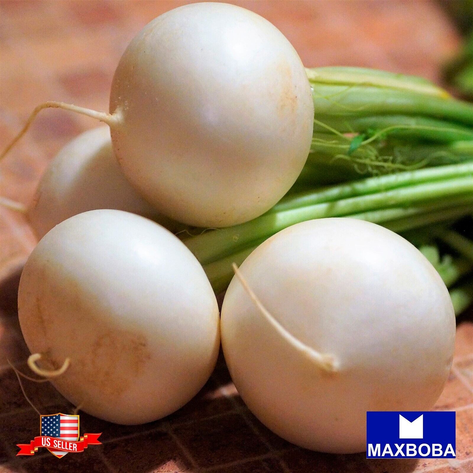 Radish Seeds Hailstone Raphanus sativus Non-GMO Heirloom Vegetable Garden