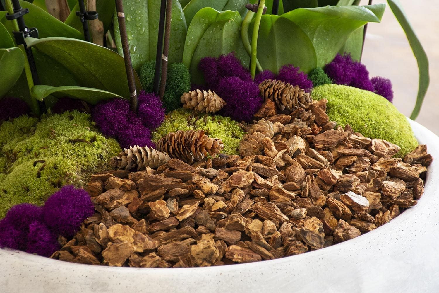 (23114) Orchid Potting Bark, Natural, 4 Quarts