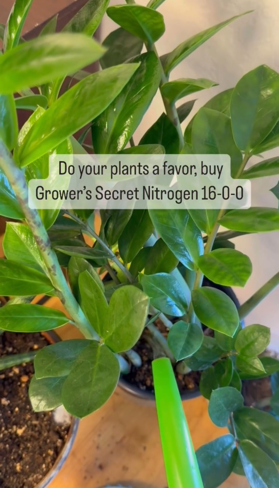 Grower’s Secret Nitrogen 16-0-0 • Organic • Readily Available For Uptake • 1 Lb