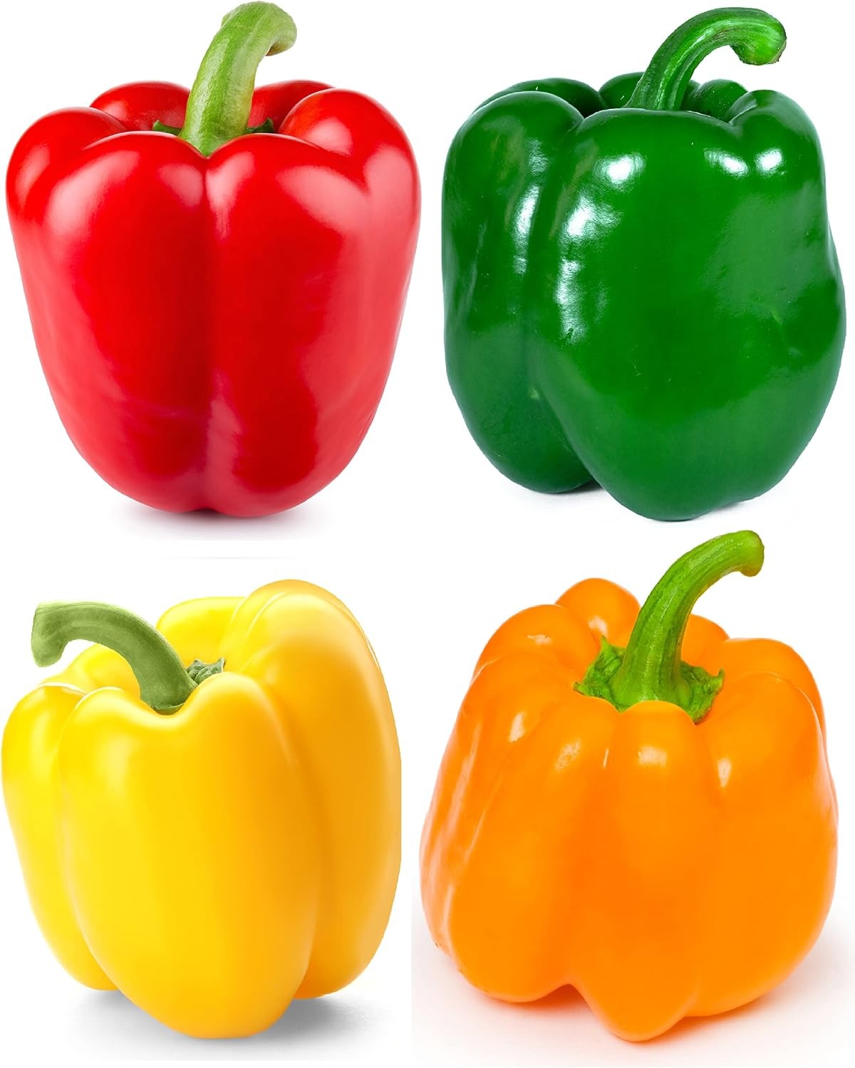 Sweet Bell Pepper Seeds Collection – Red Yellow Orange Green Peppers – Vegetable