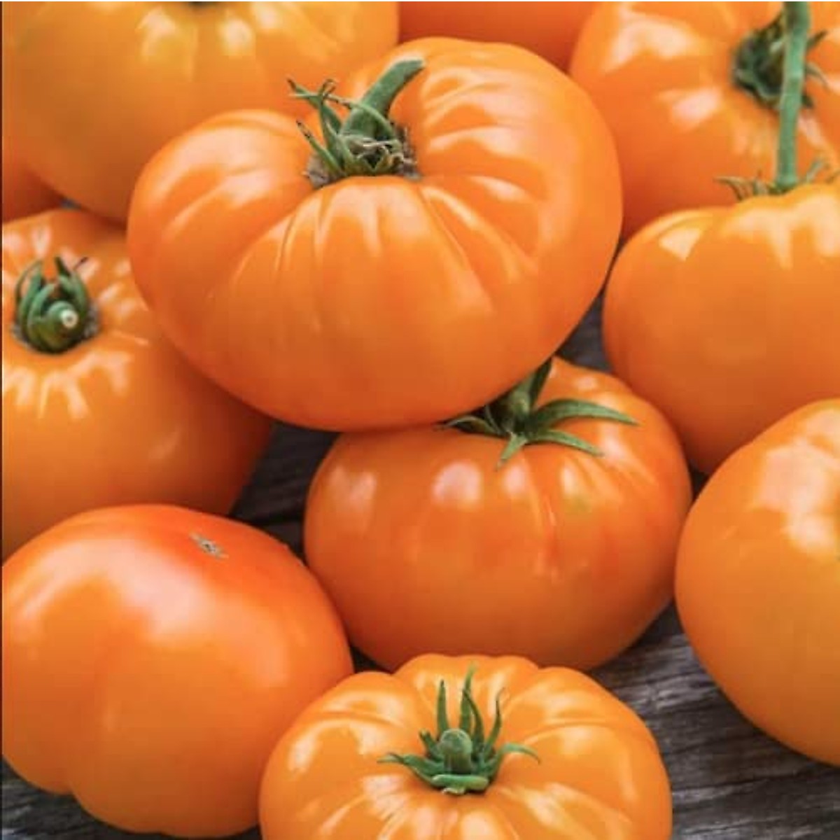 Amana Orange Heirloom Tomato 10 Seeds Lycopersicon esculentum FREE SHIPPING!