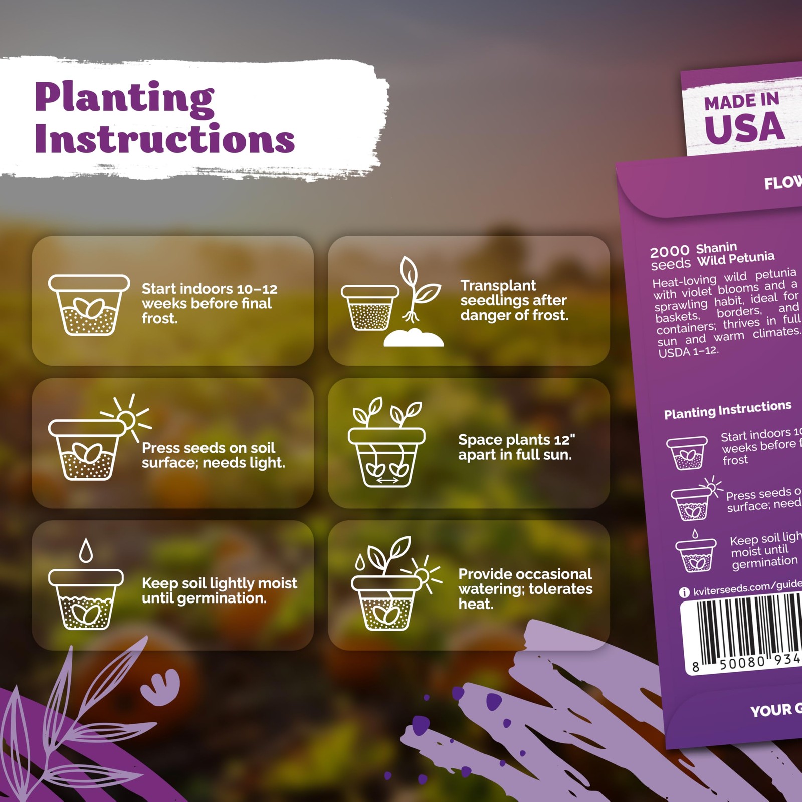 KVITER 2000 Shanin Wild Petunia Seeds For Planting (Pеtuniа viоlacea)