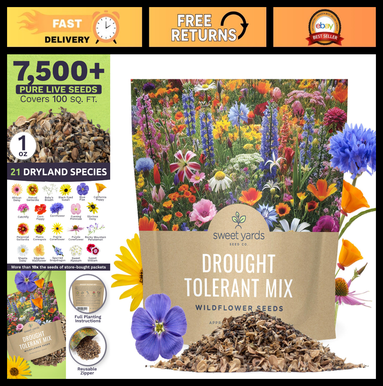 Drought Tolerant Wildflower Seed Mix – 7500+ Non-GMO Seeds, 21 Dryland Varieties